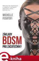Základy BDSM pro začátečníky - Michelle Fegatofi