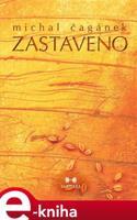 Zastaveno - Michal Čagánek